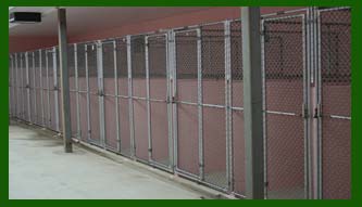 kennel at animal shelter